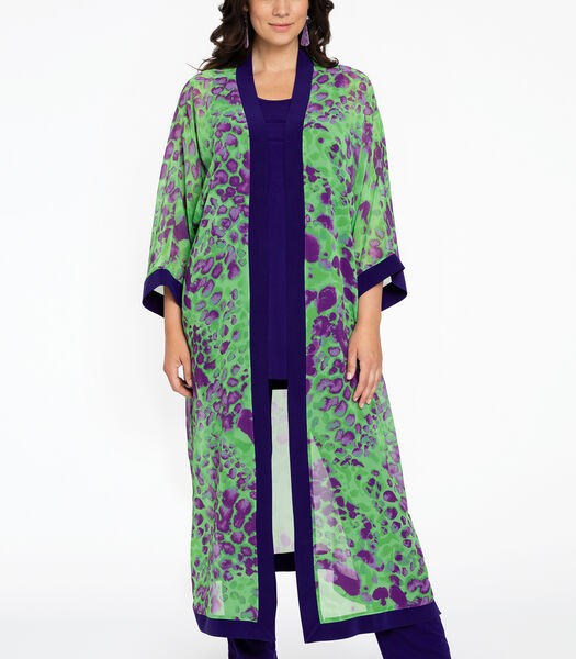 Kimono print