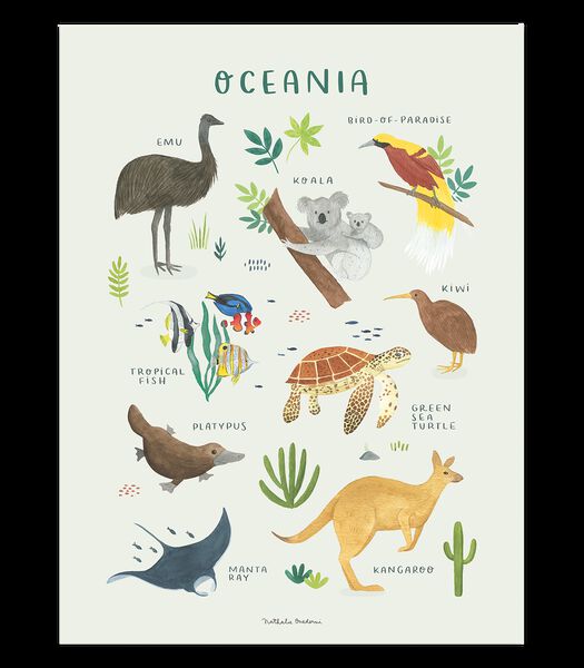 Affiche seule animaux de l'Océanie Living earth, Lilipinso