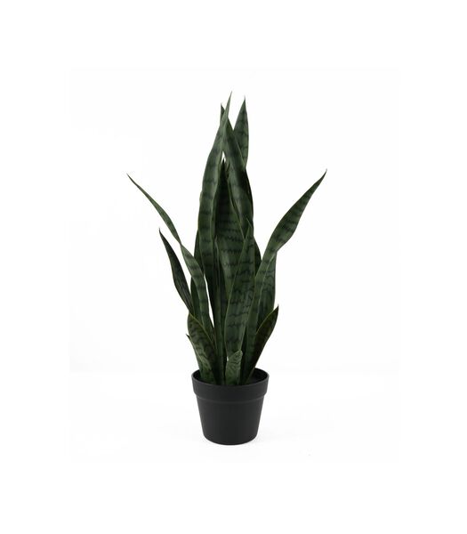 Kunstplant Sansevieria - Groen - 30x30x66cm