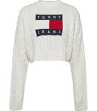 Pulls Tommy Jeans Tjw Bxy Drapeau Central image number 2