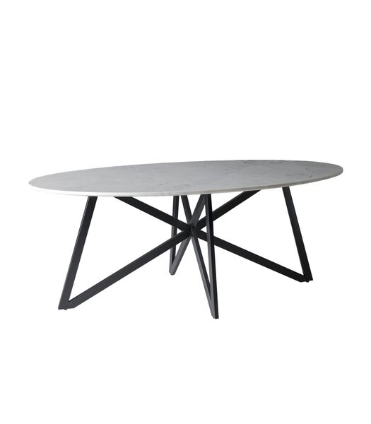 Marble - Table de salle à manger - marbre - acier revêtu - 200cm - blanc - ovale