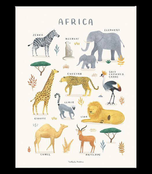 Affiche seule animaux d'Afrique Living earth, Lilipinso