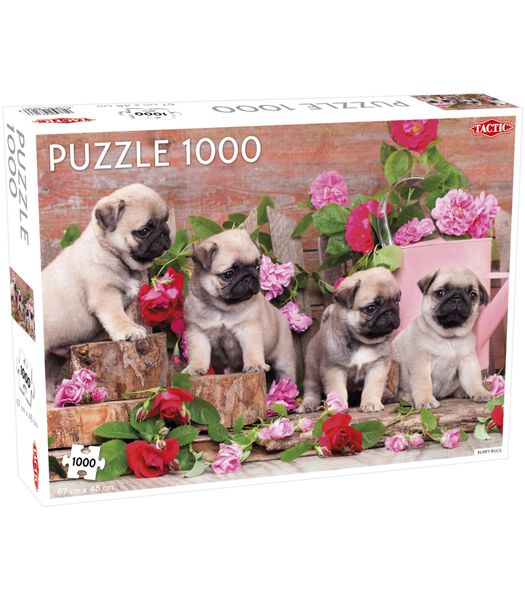 Casse-tête  Puppy Pugs 1000 pièces