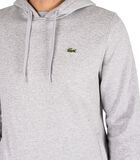 Hoodie met capuchon en logo op de borst image number 3