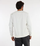 Effen sweater met ronde hals P1SOUETO image number 2