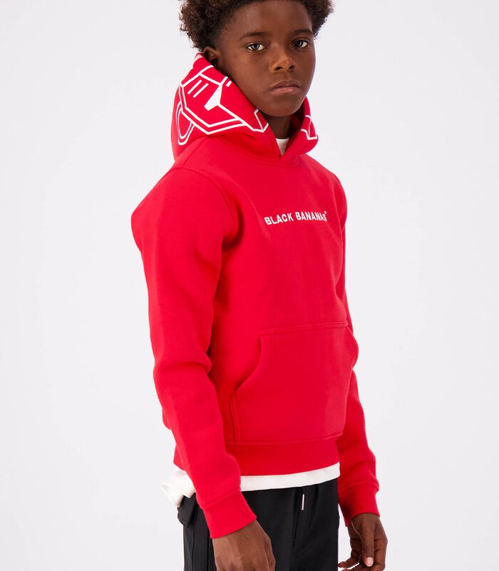 Incognito Hoodie Rood image number 0