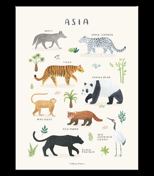 Affiche seule animaux d'Asie Living earth, Lilipinso