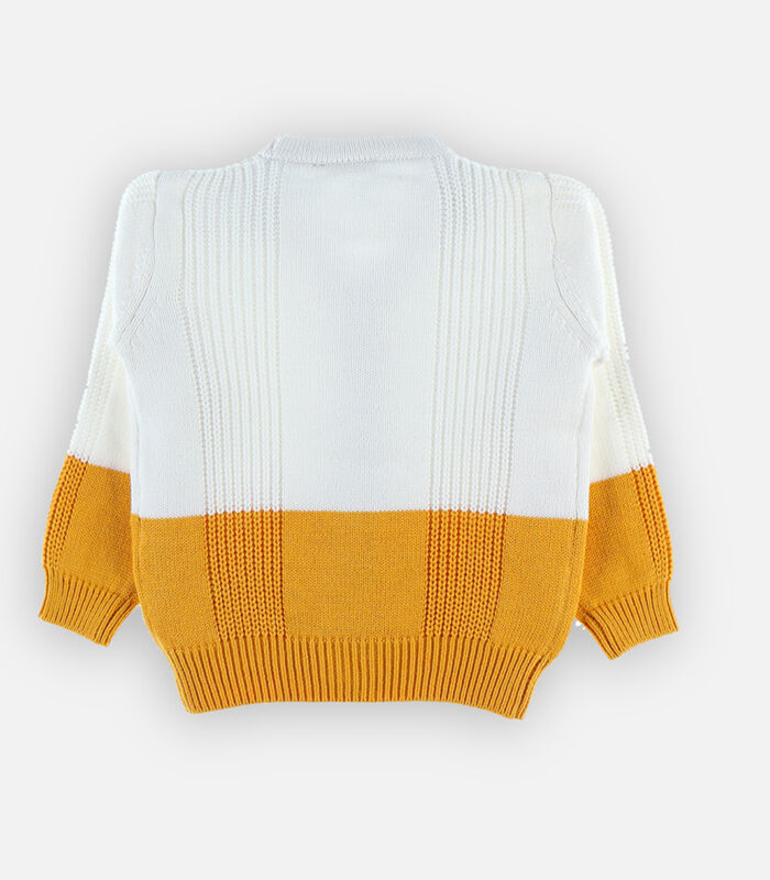 Tweekleurige cardigan, wit/geel image number 4