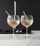 Gin Tonic Glas - Finest Selection Gin & Tonic Glass - Transparant image number 1