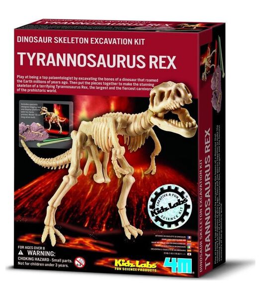 Borella Fun Science Scava Un Fossile T-Rex
