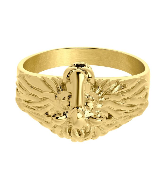 Ring Staal - goudkleurig image number 0