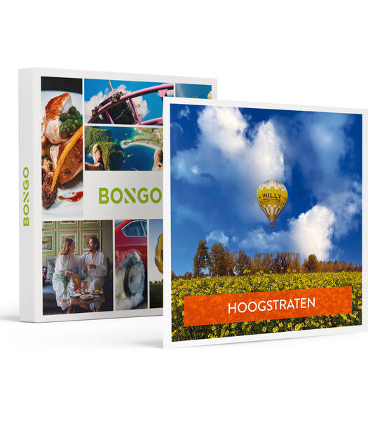 Vol en montgolfière à Hogstrate avec champagne pour 1 personne - Aventure