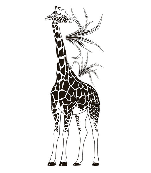 Stickers la girafe Black majik, Lilipinso