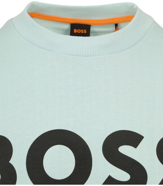 BOSS Sweater Logo Turqouise