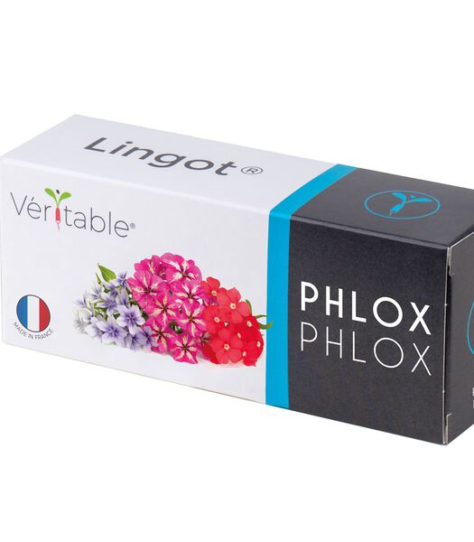 Lingot® Phlox - voor Véritable® Indoor Moestuinen