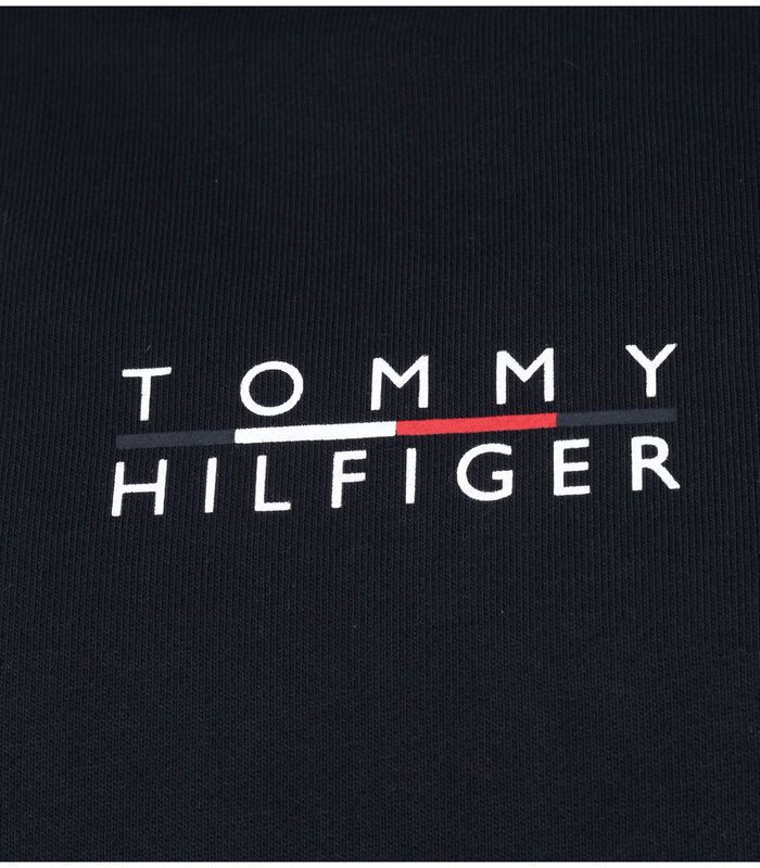 Tommy Hilfiger Sweat à capuche Logo bleu foncé image number 2