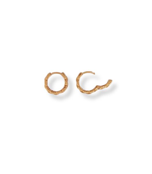 Oorbellen - Box-chain Ring - Goud