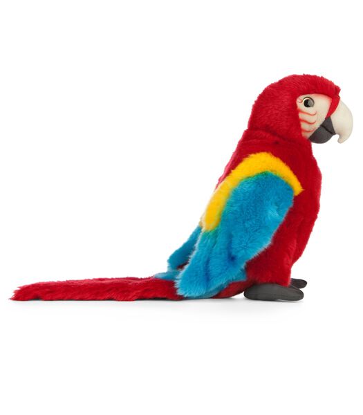 knuffel Red Macaw