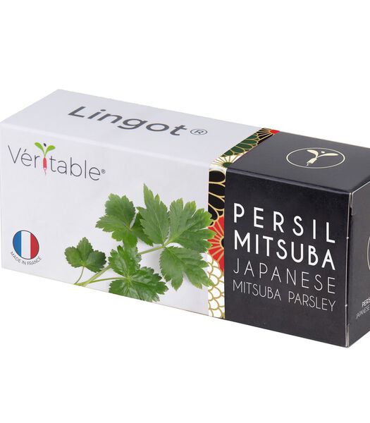 Lingot® Japanse peterselie mitsuba BIO - voor Moestuinen