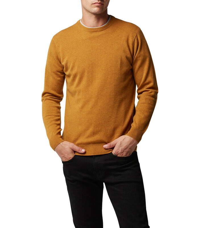 Sweater Queenstown image number 0