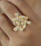 'African Butterfly' Ring image number 1