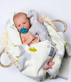 Couverture bébé en coton bio Dino image number 3