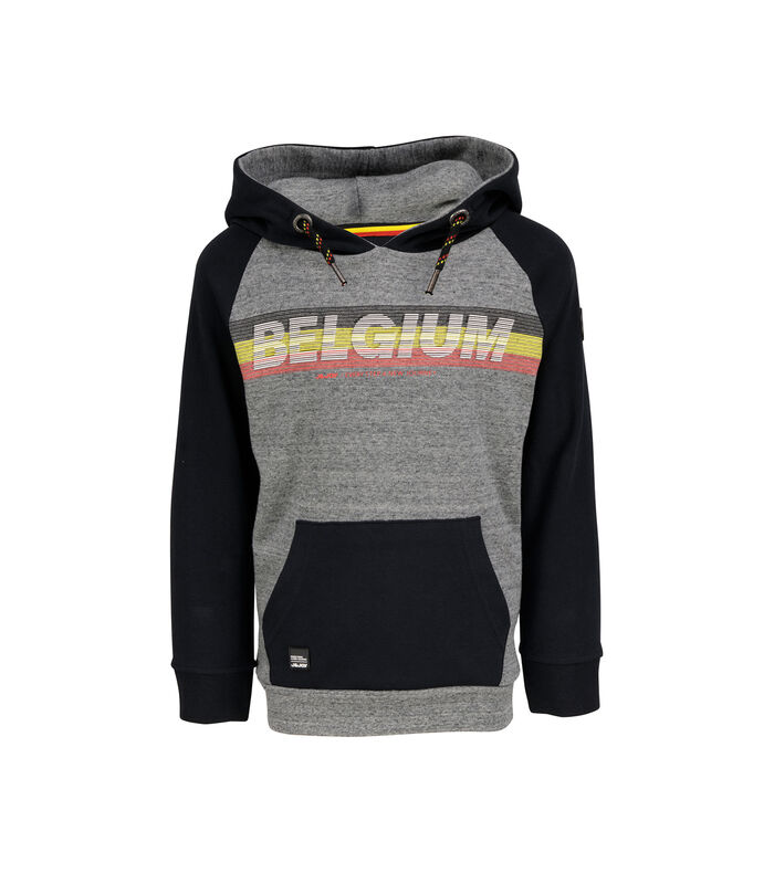 Belgische sweatshirt met capuchon image number 0