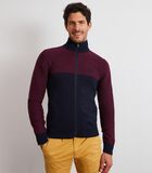 Cardigan en maille zippé bicolore bordeaux - image number 0