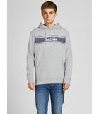 Hooded sweatshirt Flocker image number 0