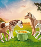 Country Ijslandse Pony'S Met Veulens - 71000 image number 4