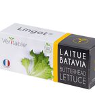 Lingot® Laitue batavia BIO image number 0