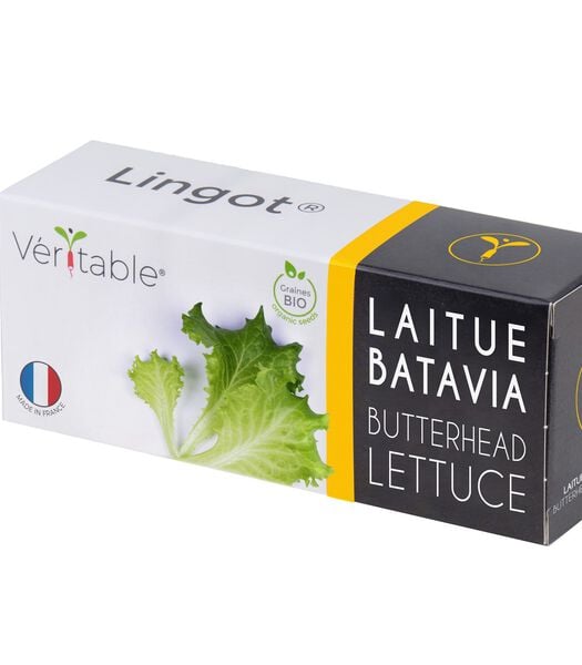 Lingot® Batavia Sla BIO - voor Véritable® Moestuinen