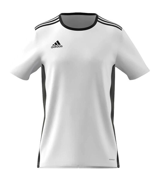 T-Shirt Adidas Sport Entrada 18 Jsy Blanc
