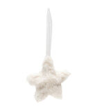 Glittering Star Ornament image number 0