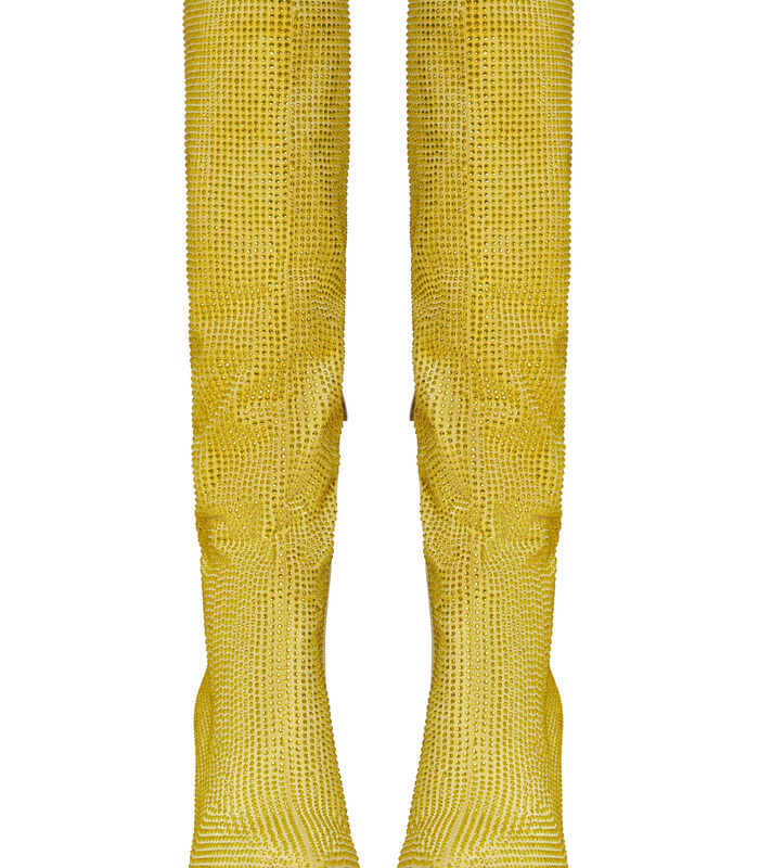 Kniehoge laarzen met Jewel-versiering image number 4