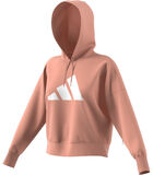 Sweatshirt vrouw Sportswear Future Icons image number 3