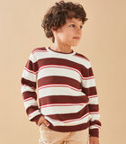 Pull tricot rayé, brun chocolat/rouge image number 0