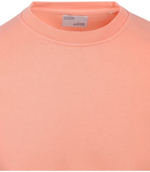 Colorful Standard Pull-over Rose