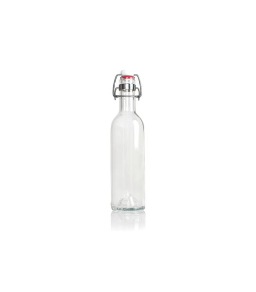 Beugelfles / Weckfles Rebottled Transparant 375 ml - gemaakt van gerecyclede wijnflessen