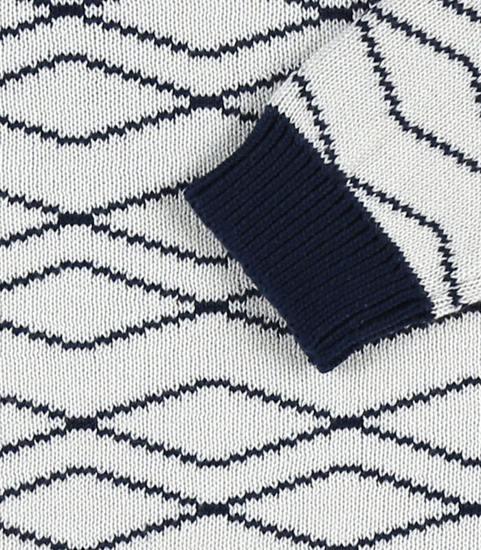 Jacquard gebreide trui, donkerblauw/ecru image number 4