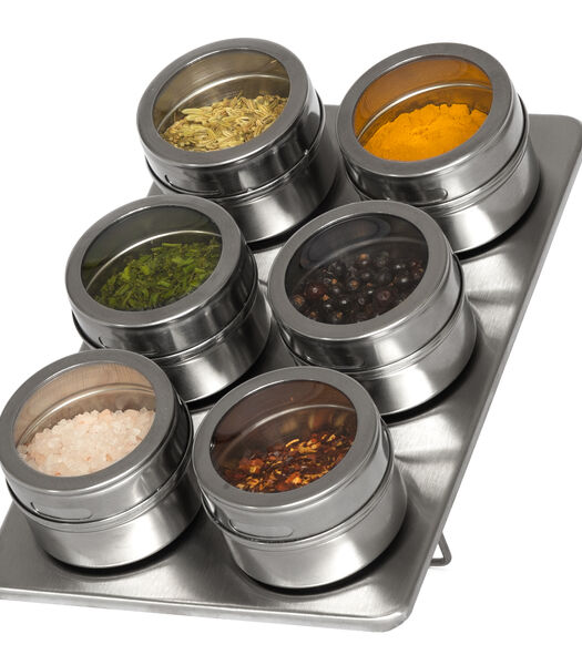 Pot à épices magnétique  - comprenant 6 pots - en acier inoxydable (RVS)