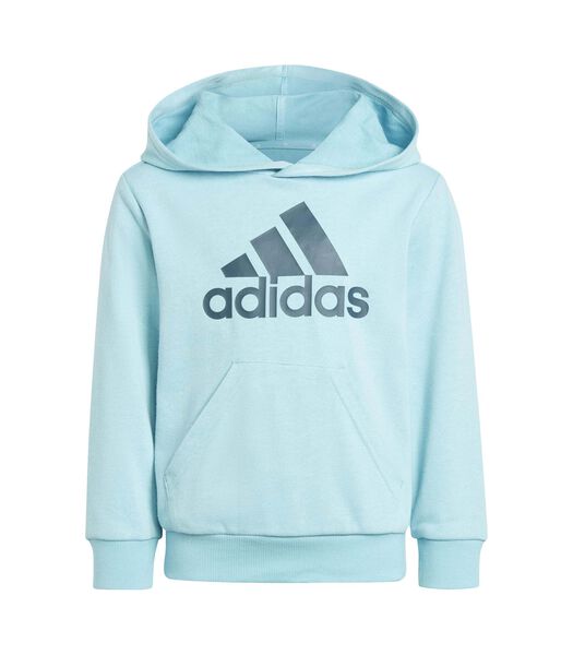 Adidas Origineel Lk Bl Ft Hd Sweatshirt