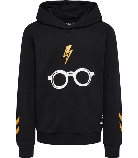 Sweatshirt à capuche enfant Harry Potter