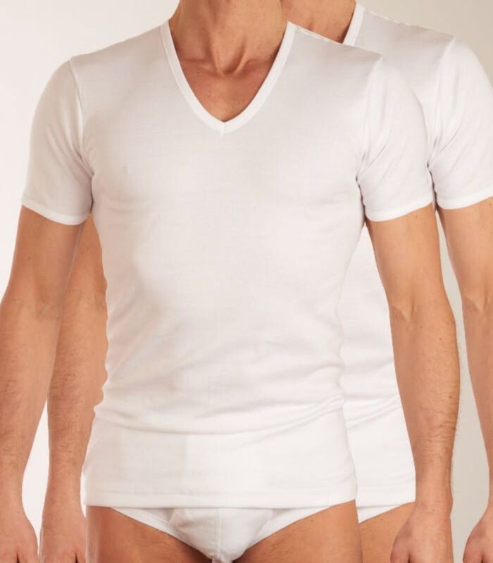 T-shirt col V lot de 2 Pur Coton Premium image number 0