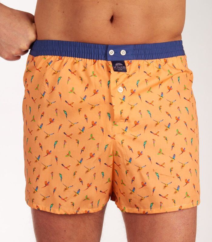 Boxershort parrot image number 0