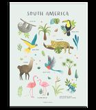 LIVING EARTH - Affiche enfant - Animaux Amérique du sud image number 0
