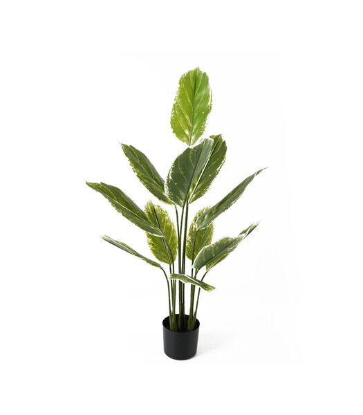 Plante artificielle Calathea Large - Vert - 70x70x116cm