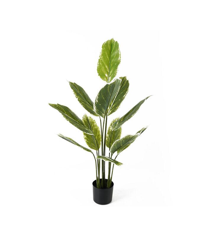 Plante artificielle Calathea Large - Vert - 70x70x116cm image number 0