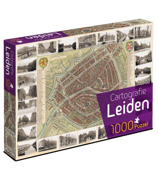 Cartografie Leiden (1000)