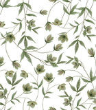 Papier peint 50cm x 10m fleurs Hellébore Wellington, Lilipinso image number 0